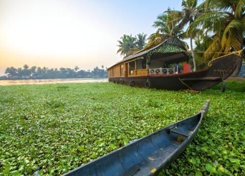 Marari and Alleppey Tour: 4 Days 3 Nights