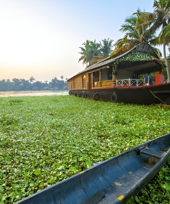 Marari and Alleppey Tour: 4 Days 3 Nights