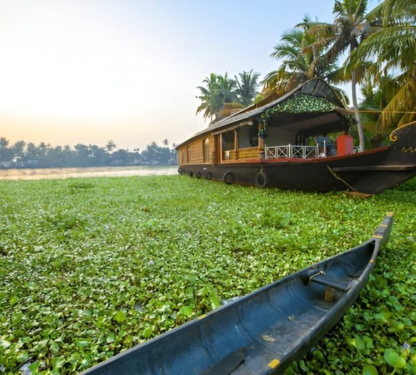 Marari and Alleppey Tour