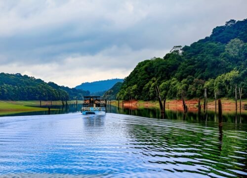 Munnar Thekkady Kumarakom Cochin Tour: 6 Days 5 Nights