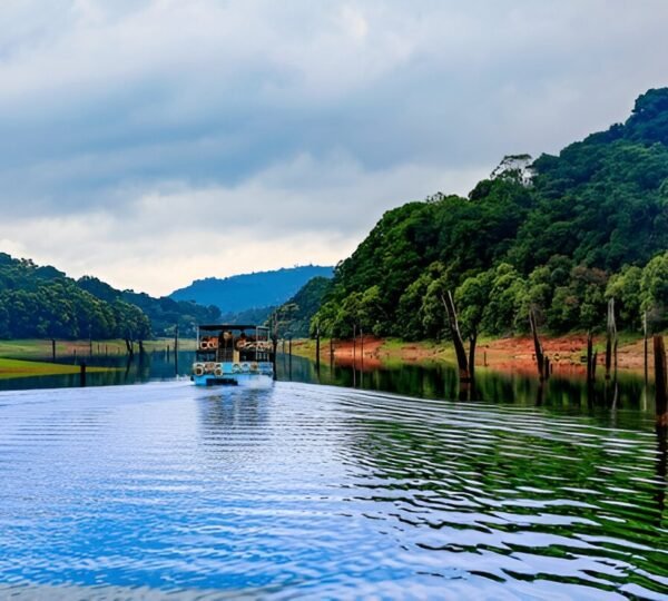 Munnar Thekkady Kumarakom Cochin Tour