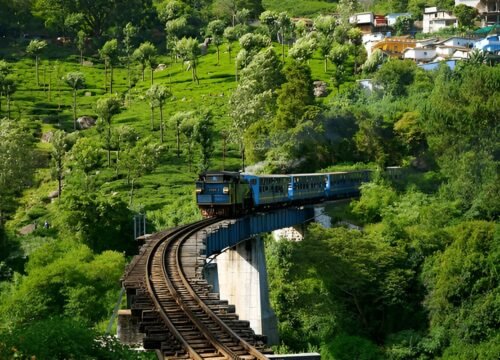 Ooty and Kodaikanal Tour: 3 Days 2 Nights