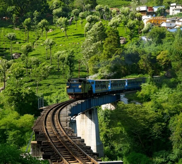 Ooty and Kodaikanal Tour