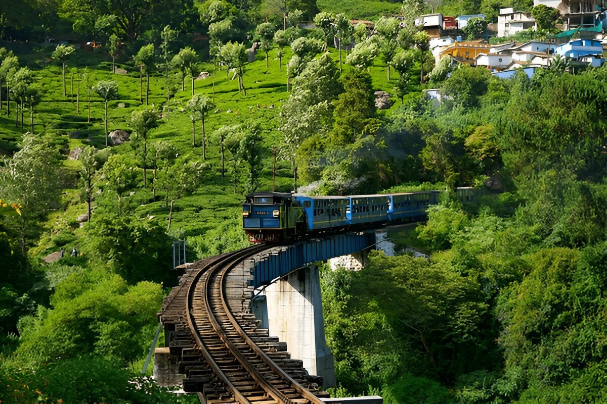 Ooty and Kodaikanal Tour: 3 Days 2 Nights